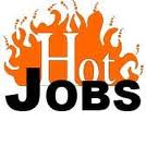What Jobs Are Hot