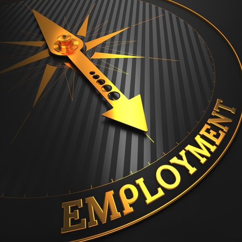 A Journey Through Employment: Lessons Learned And Skills Earned (Pt.2)