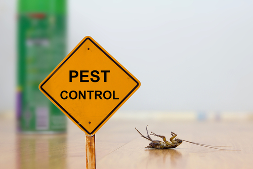 Pest Control And Its Advantages