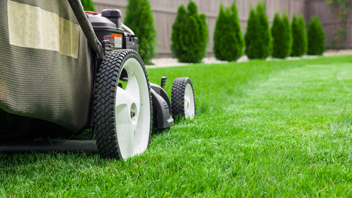 Why Is There A Need For Lawn Supply And Maintenance Specialists?