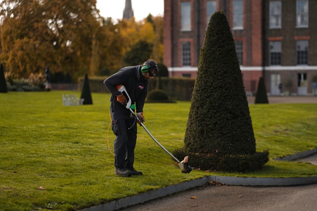 Landscaping – Combining Art and Science: Investigating the World of ...